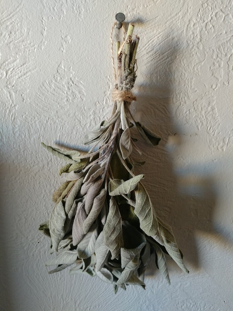 Dried Sage Bundle Small Bunch Dried Sage Dried Herbs Etsy