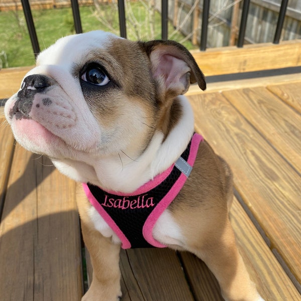 Personalized Step-in Air Dog Harness/All Weather Mesh/Step-in Vest Harness for Small and Medium Dogs