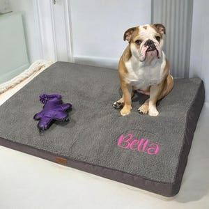 May include: A gray dog bed with a pink embroidered name "Bella" and a purple plush toy. The bed is made of a soft, plush material and has a raised edge.