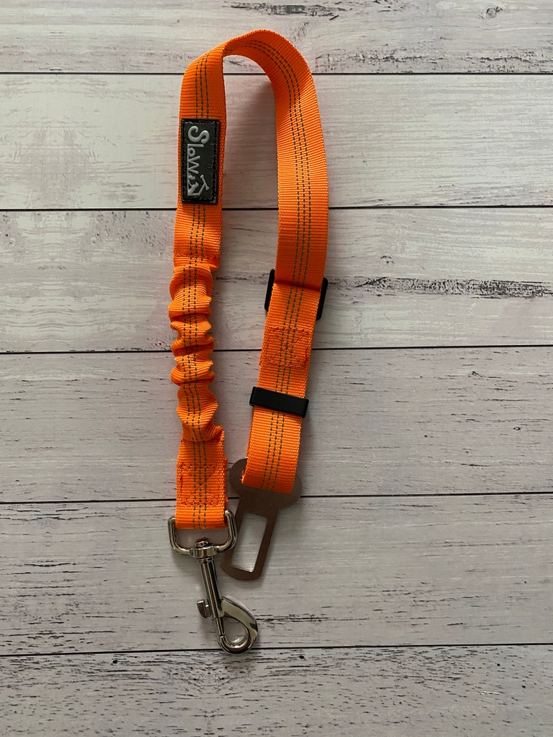 May include: Orange retractable dog lead with a metal clip and a black seatbelt attachment. The lead has the word "SLAMZ" printed on it.
