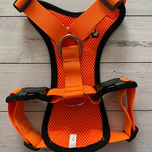 May include: Orange dog harness with black adjustable straps and a silver metal ring. The harness has a mesh design and the size "S" is printed on the front.