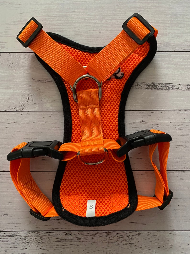 May include: Orange dog harness with black adjustable straps and a silver metal ring. The harness has a mesh design and the size "S" is printed on the front.