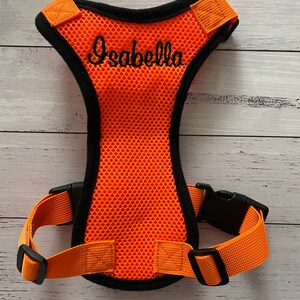 May include: Orange mesh dog harness with black trim and adjustable straps. The harness has the name "Isabella" embroidered on the front.