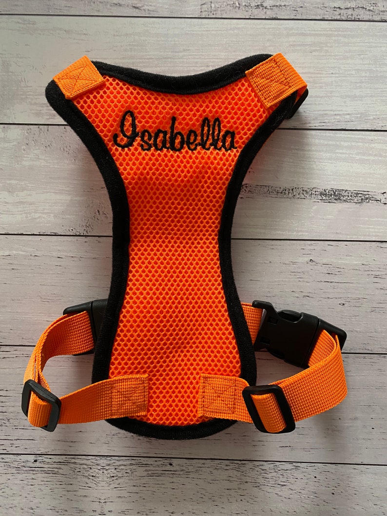 May include: Orange mesh dog harness with black trim and adjustable straps. The harness has the name "Isabella" embroidered on the front.