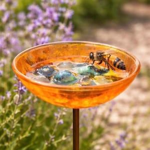Könnte beinhalten: Eine flache, durchscheinende orangefarbene Glasschale, die auf einem dünnen Metallstab montiert ist. Die Schale ist mit Wasser und mehreren glatten, bunten Glassteinen gefüllt. Eine Honigbiene sitzt am Rand der Schale nahe der Wasseroberfläche.