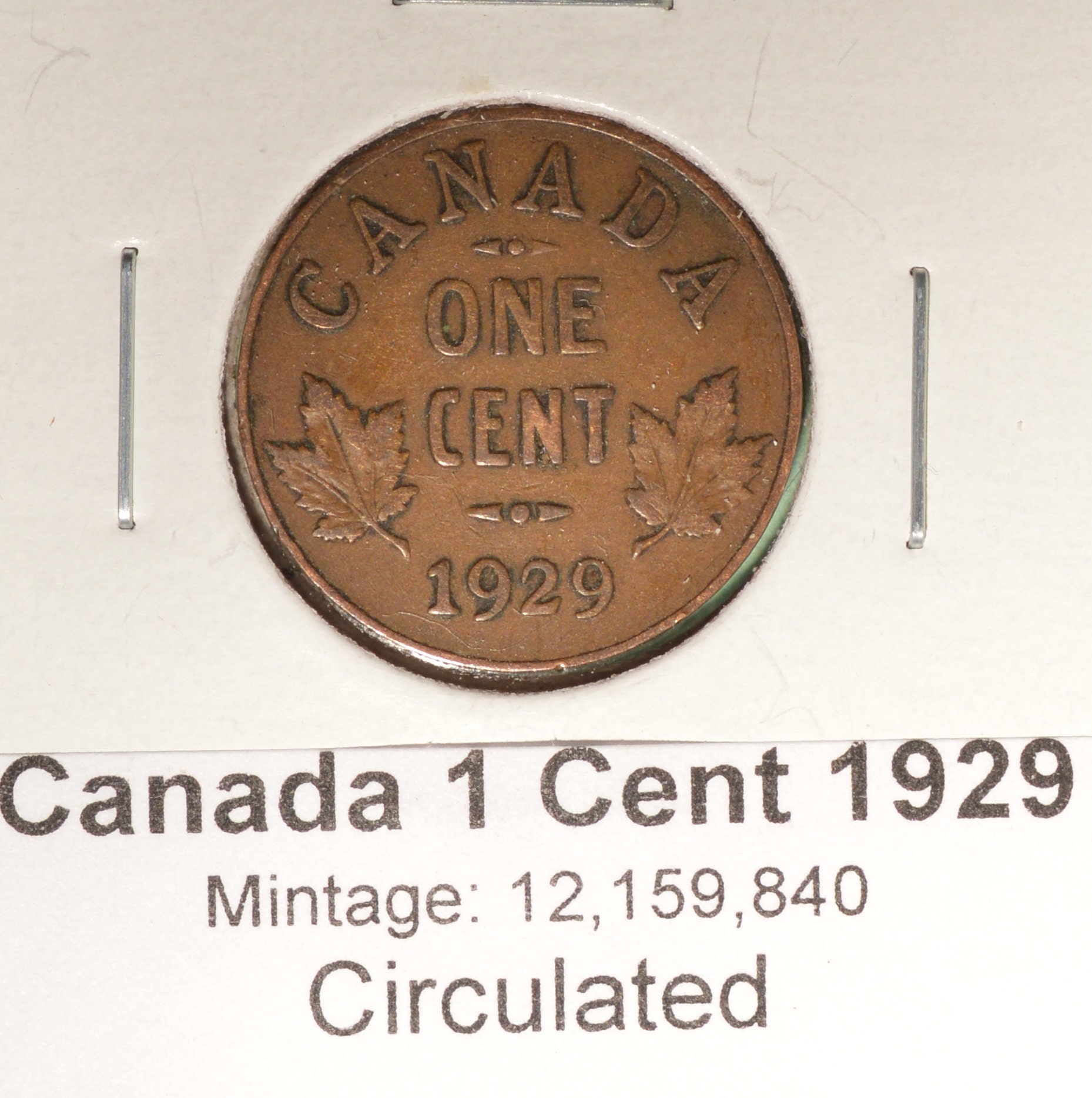 1929 Canada 1 Cent Penny Circulated Nice Coin Album Collectable Etsy