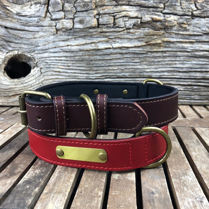 Pu&ograve; includere: Un collare per cani in pelle marrone con un collare in pelle rossa e una targhetta in ottone in cima.