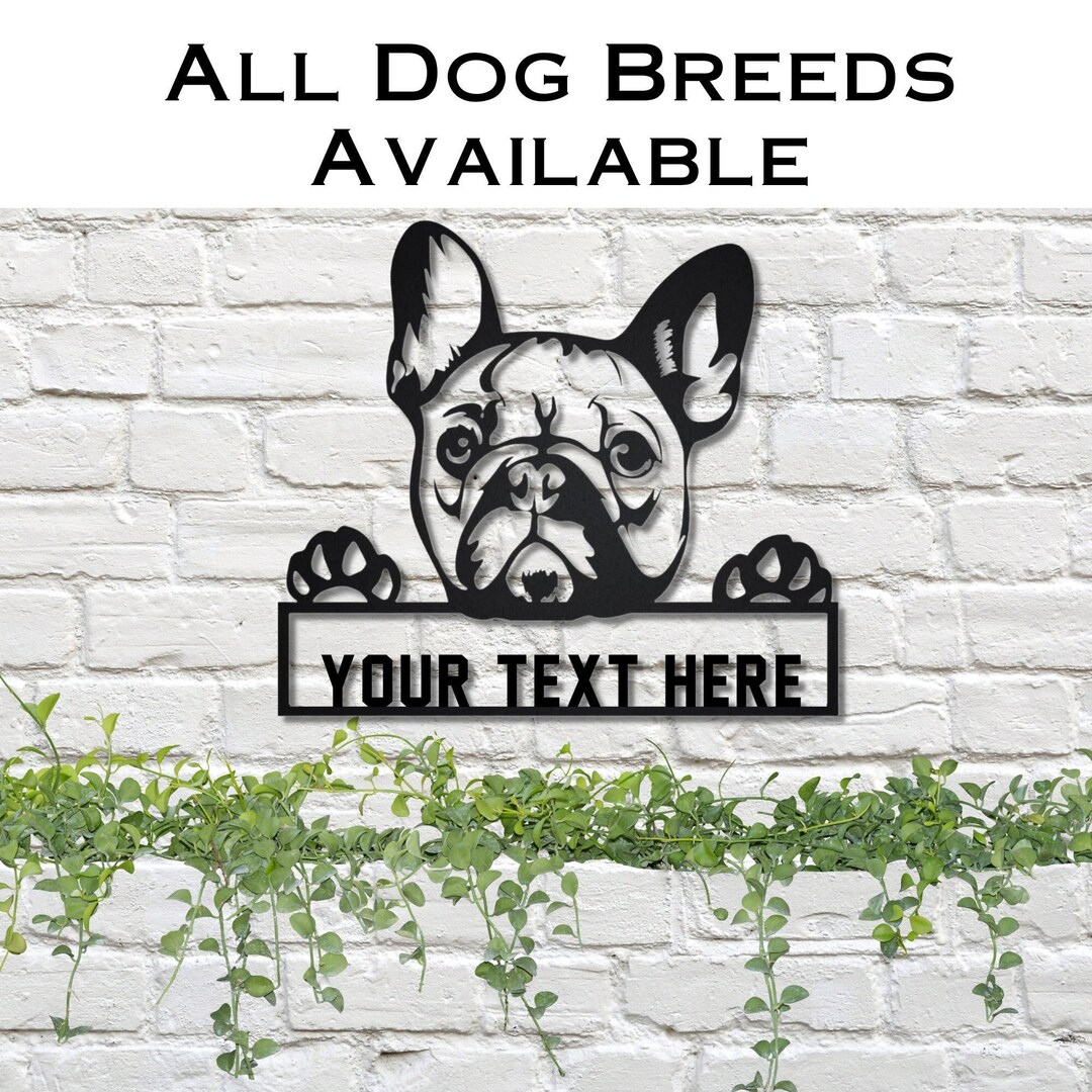 Security Inc. By Our Cats And Dogs - Personalized Metal Sign