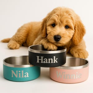 Personalized Laser Engraved Insulated Dog Bowl, Custom Dog Bowl, Personalized Pet Bowl, Dog Mom Gift, Dog Dad Gift, Engraved cat dish, 64oz