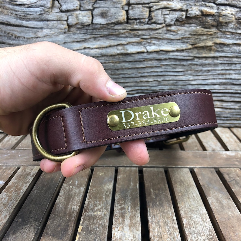 Pu&ograve; includere: Collare per cani in pelle marrone con fibbia in metallo dorato e targhetta in metallo dorato incisa con "Drake" e un numero di telefono.