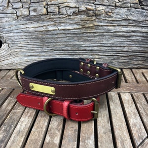 Pu&ograve; includere: Due collari per cani in pelle, uno marrone con una targhetta in ottone e uno rosso. I collari sono su una superficie di legno.