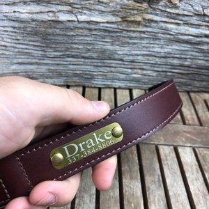 Pu&ograve; includere: Un collare per cani in pelle marrone con un'etichetta in metallo dorato incisa con il nome "Drake" e il numero di telefono "337-384-8806".