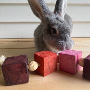 bunny climbing toys