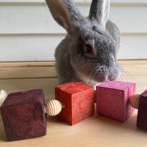 Wood Chew Toy / Rabbit Toys / Bunny Toys / Toys for Rabbits Etsy