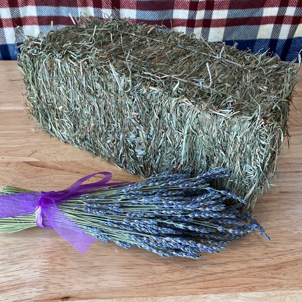 Beddy-Bye Hay Bale - Mini Hay Bale with Fresh Organic Lavender in Orchard Grass - Timothy Hay - Clover Blend - A Relaxing Nighttime Blend!