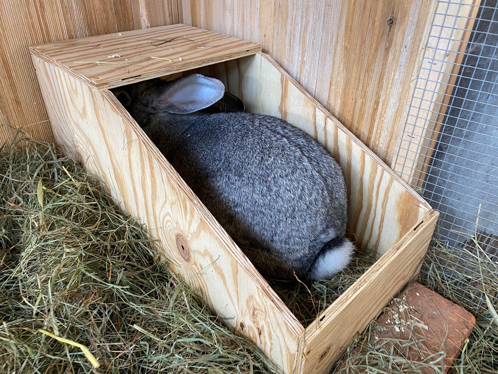 Giant Rabbit Nesting Box Perfect for Flemish Giants Etsy