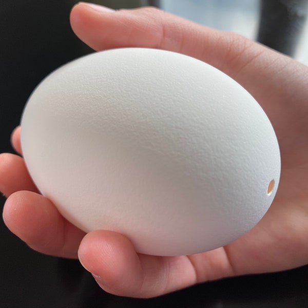 Goose Egg for Pysanky Art