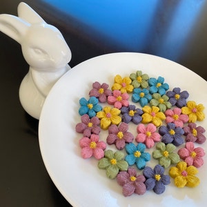 Forget-Me-Nots Bunny Snacks - Beautiful Blossoms for Your Bun! 100% Organic Rabbit Treats & Perfect Portion Size - A Healthy Bunny Treat!