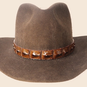 May include: A brown cowboy hat with a brown leather band with a crocodile skin pattern.