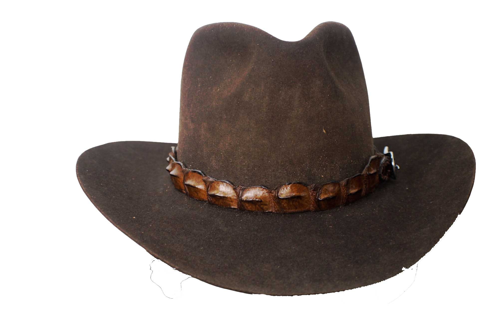 Hat Band Hornback Alligator in Two Colors - Etsy