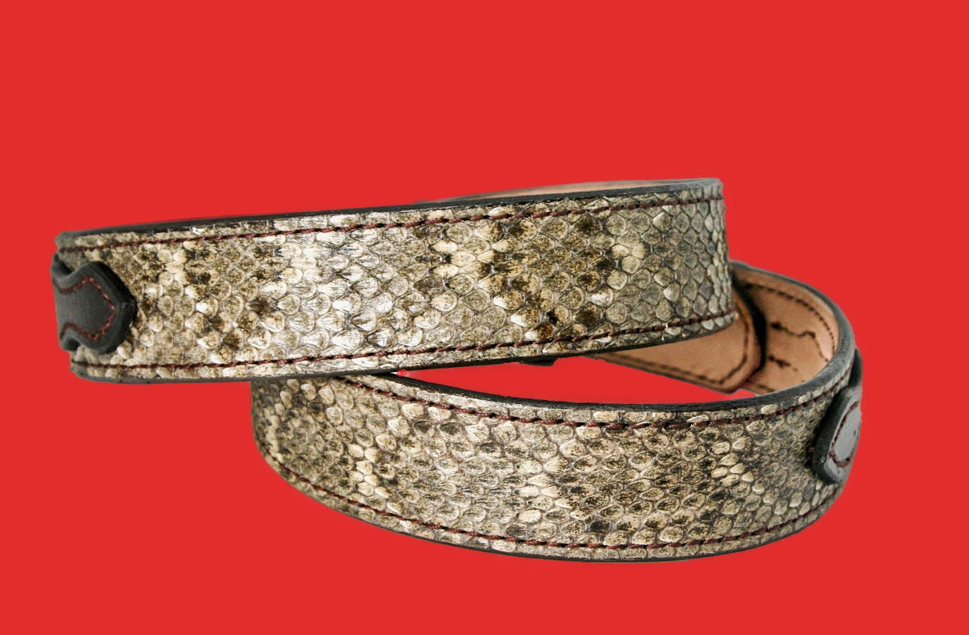Genuine Rattle Snake Ranger Belt With Water Buffalo Billets 