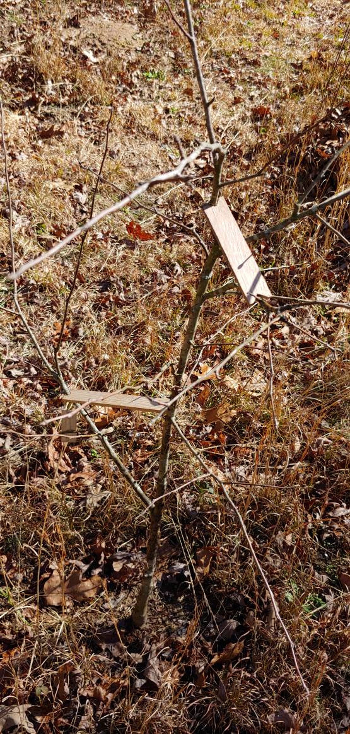 Wooden Tree Limb Spreaders Set of 10, With 5 Different Sizes New and