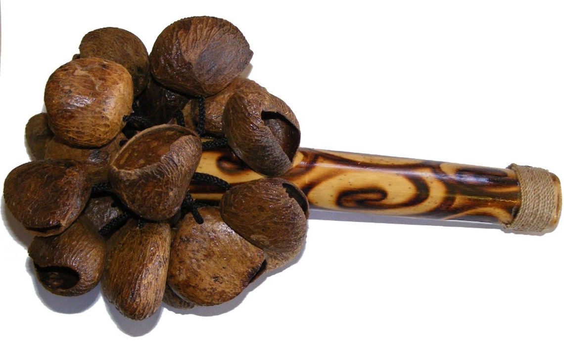 Natural Bali Nut Shaker / Chestnut Shaker / Pangi Seed Shaker Etsy