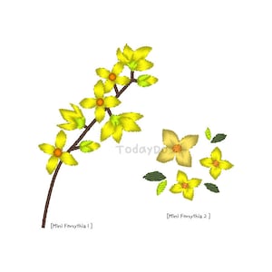Könnte beinhalten: Illustration von gelben Forsythienblüten und Blättern an einem braunen Stiel. Das Bild enthält den Text "[Mini Forsythia 1]" und "[Mini Forsythia 2]" sowie das TodayDo-Logo. Die Blüten haben ein detailliertes, strukturiertes Aussehen.