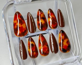 Cocoa Shell Set