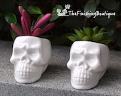 SET OF TWO Mini Skull White Ceramic Planter Pots, Tiny Flower Plant Containers