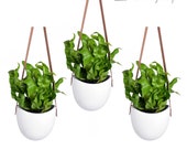 Leather Strap Hanging Planter, Set of 3 Ceramic Hanging Planters With Leather Straps, Ceramic Wall Vases, Leather Flower Pots