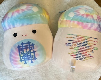 Griz Squish 14 inch with “take care” lyrics