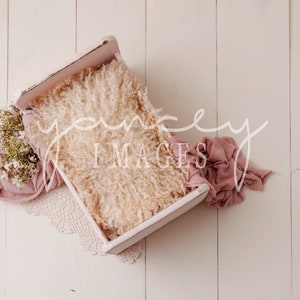 2 Newborn digital backdrop Spring Pink Bed, newborn digital background
