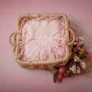 Newborn Pink Basket Digital Photography, newborn digital background