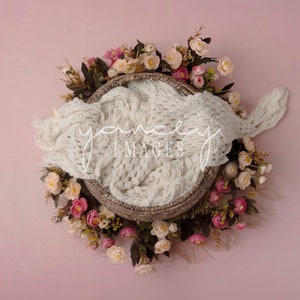1 Newborn Pink Floral Basket Digital Photography, newborn digital background