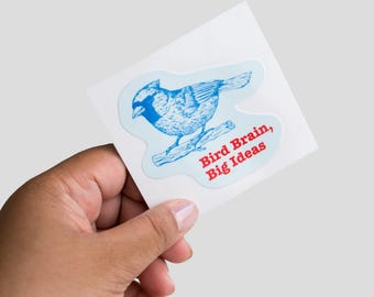 Bird Brain, Big Ideas Sticker | Waterproof & Permanent