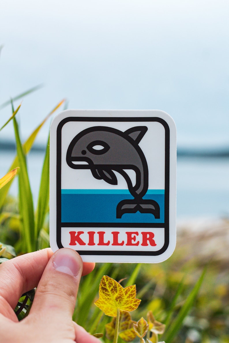 May include: A white sticker with a black outline features a cartoon killer whale jumping out of blue water. The text "KILLER" is printed in red letters below the whale.