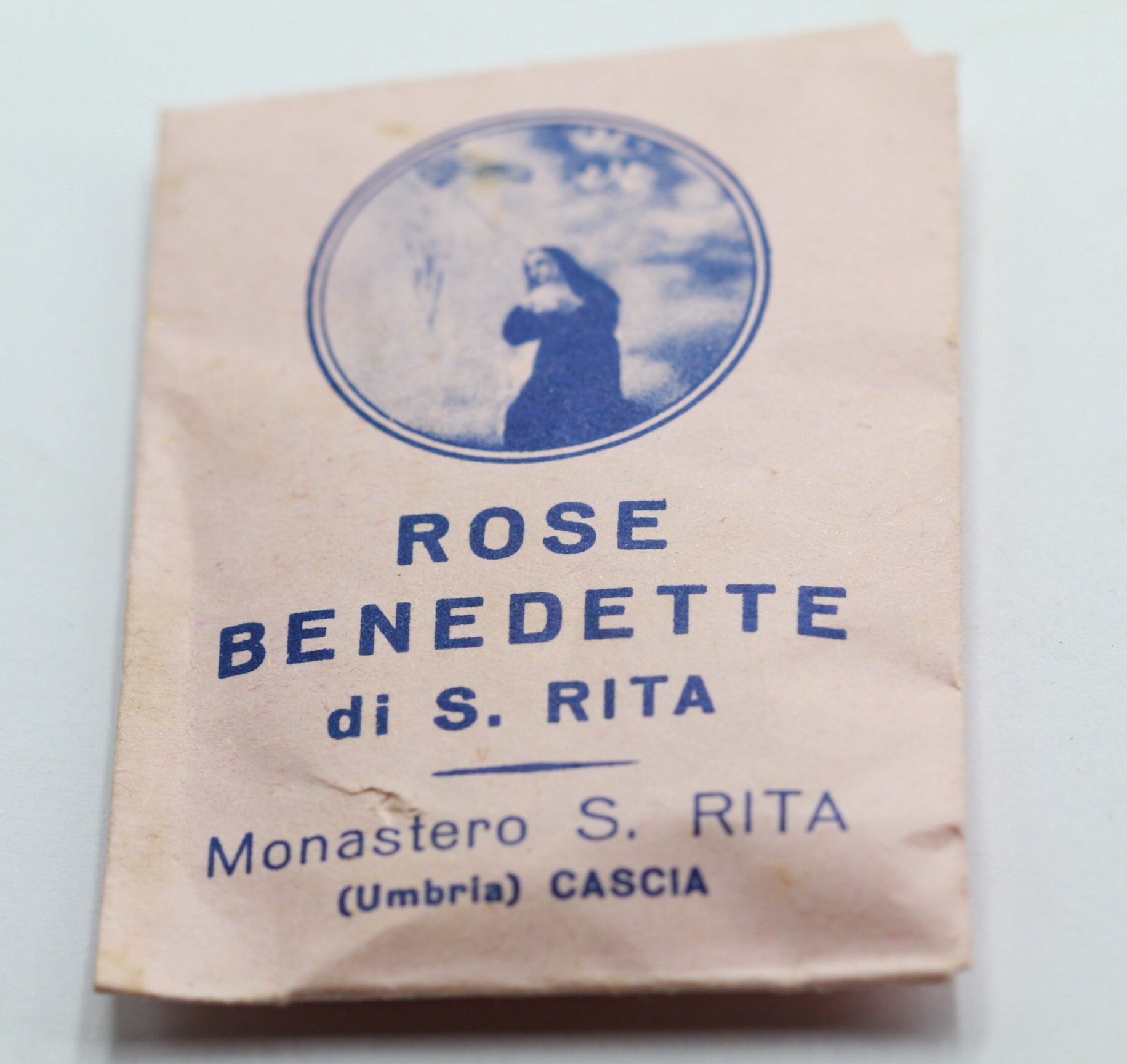 Roses Benites de Sainte Rita