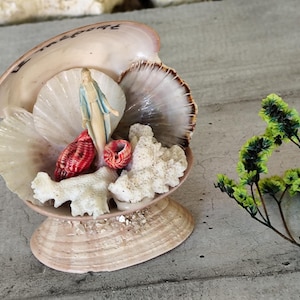 Shell Shrine / Virgin Mary Statue / Shell Art Religious Art / Catholic Home Devotion