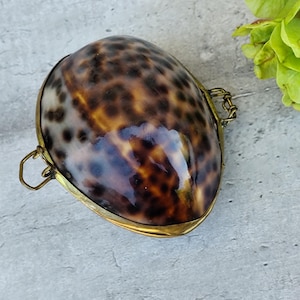 Puede incluir: Un bolso con forma de concha con marco y cierre de latón. La concha tiene un acabado brillante con un patrón de manchas marrones sobre un fondo beige. Un accesorio único.