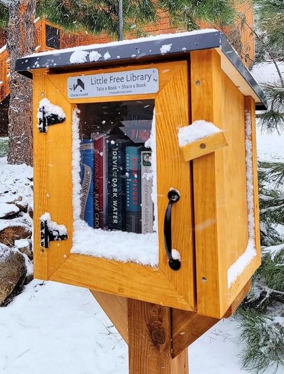 LITTLE FREE LIBRARY® Complete Bundle, With Mini Library Kit, Mounting ...