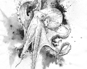 Octopus pen and ink drawing handmade original artwork and prints