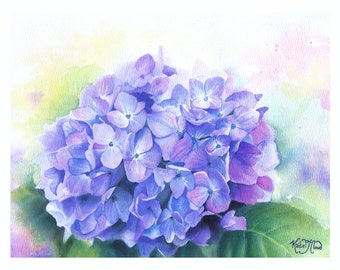 Hydrangea flowers watercolor painting fine art print