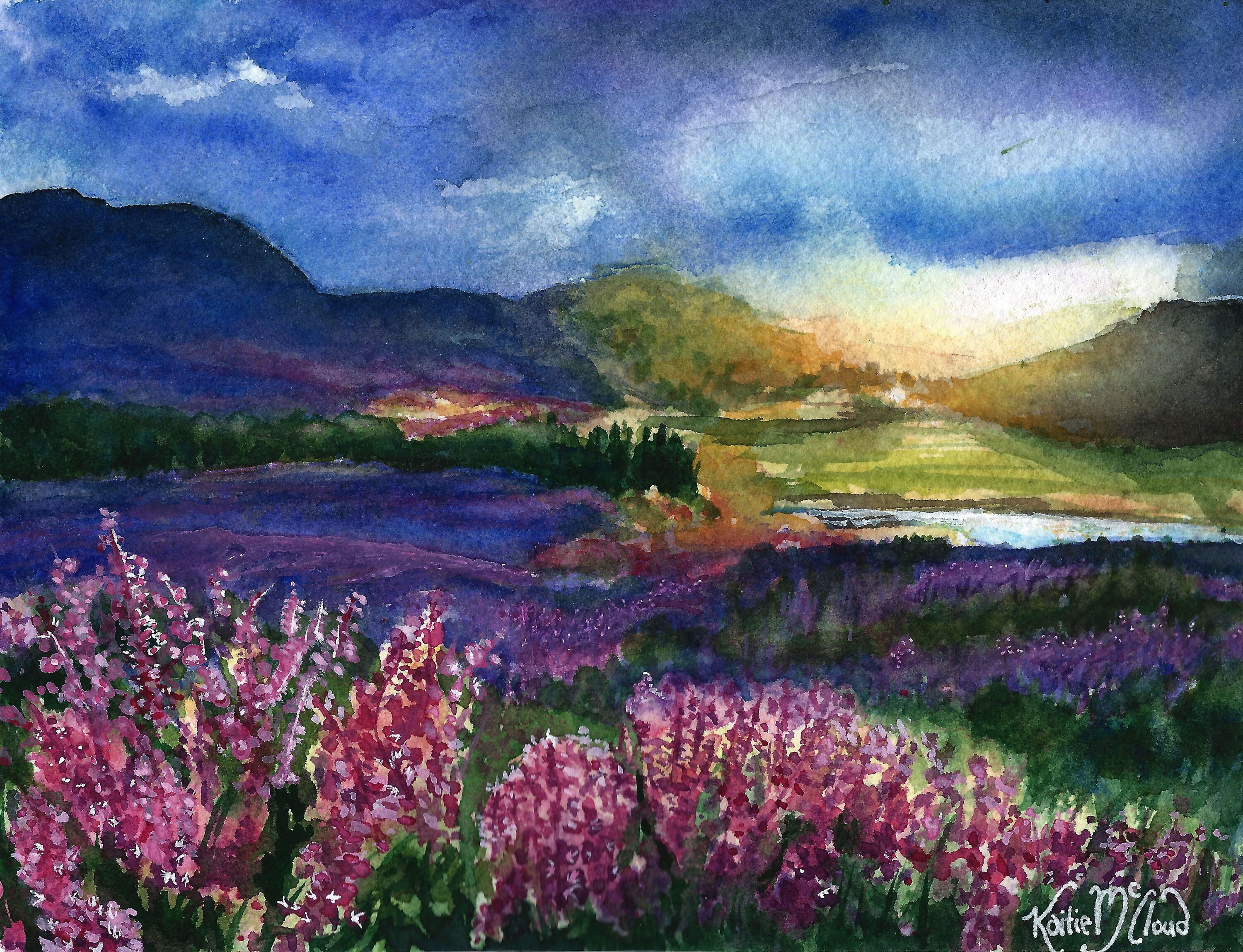 Fireweed Watercolor Painting Homer Alaska Landscape Wildflower Scenery