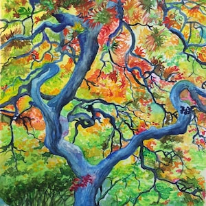 Japanese Maple tree Watercolor fine art print