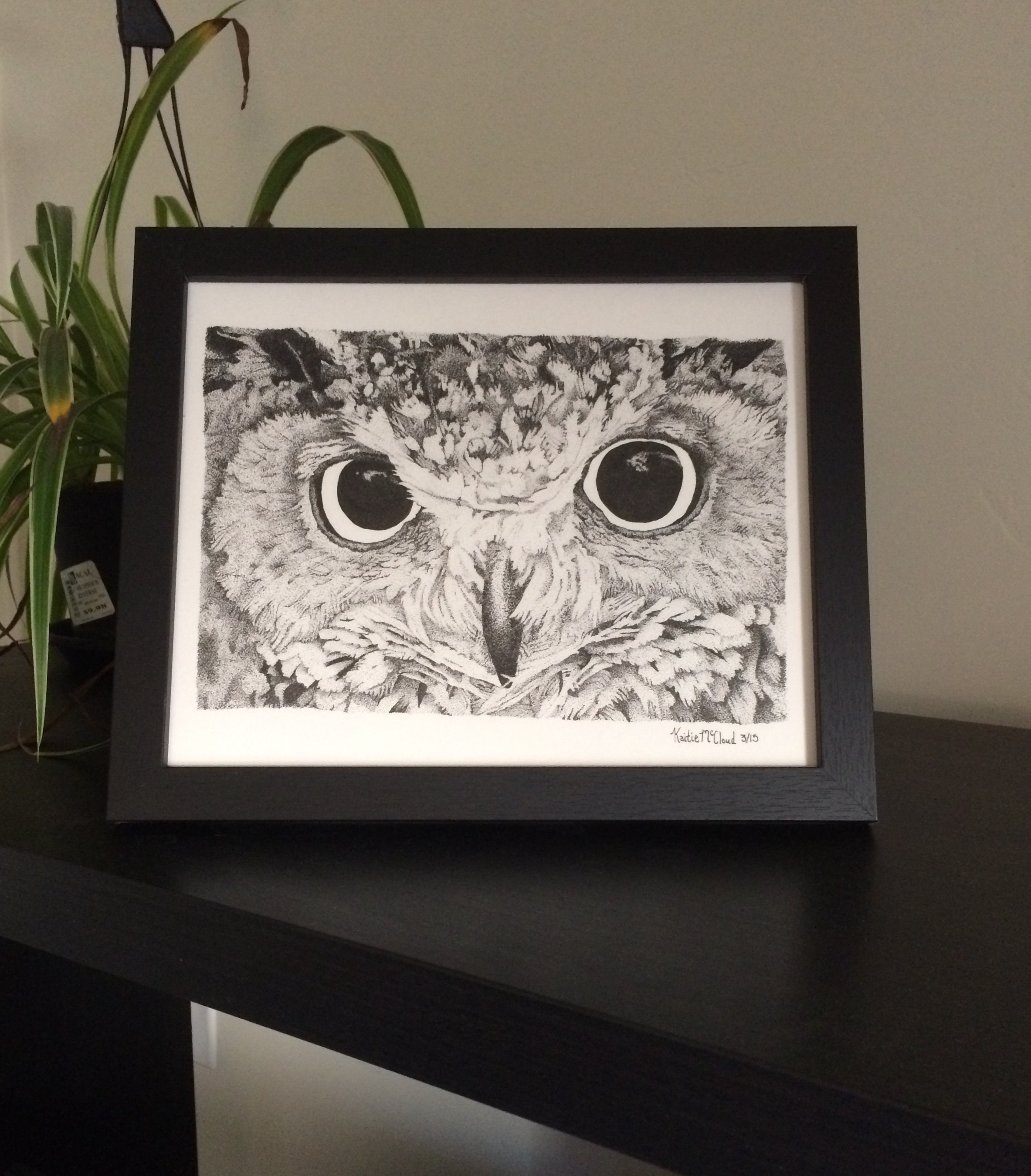 Owl Pen and Ink Drawing Black and White Stippling Art Prints by Kaitlin ...