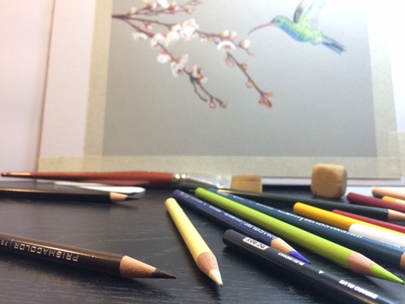 May include: A close-up of a variety of colored pencils and a paintbrush on a black surface. The pencils are arranged in a fan shape, with the tips of the pencils pointing towards the viewer. The pencils are all different colors, including black, brown, green, yellow, and red. The paintbrush is made of natural bristles and has a wooden handle. The pencils and paintbrush are used for drawing and painting.