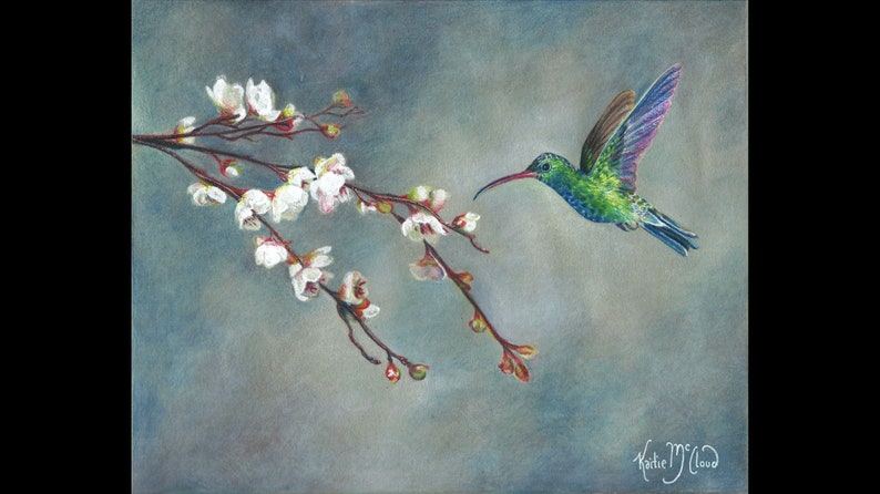 May include: A green and blue hummingbird with a long beak hovers near a branch of white blossoms against a light blue background. The painting is signed "Katie M. Cloud".