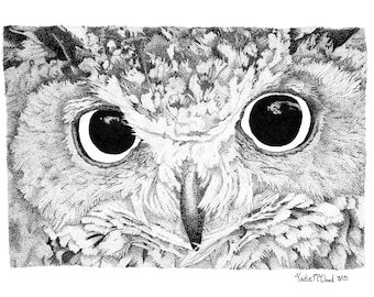 Owl Pen and Ink Drawing Black and White Stippling art prints by Kaitlin McCloud