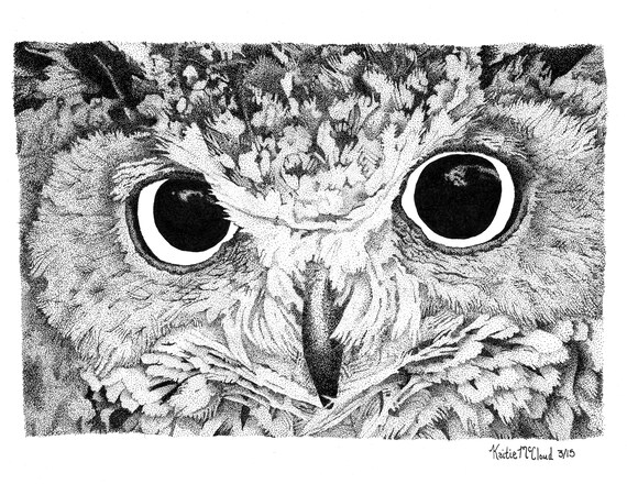 Owl Pen and Ink Drawing Black and White Stippling Art Prints | Etsy